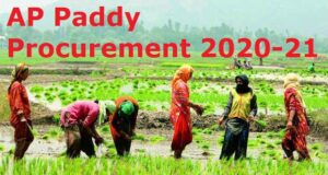 ap paddy procurement 2022