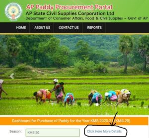 ap paddy procurement payment status