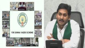 ysr sunna vaddi scheme status
