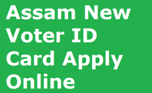 assam voter card online apply