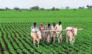 bihar rajya fasal sahayata yojana payment status